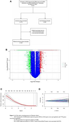 LYPD3, a New Biomarker and Therapeutic Target for Acute Myelogenous Leukemia